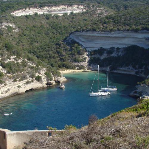 Bonifacio