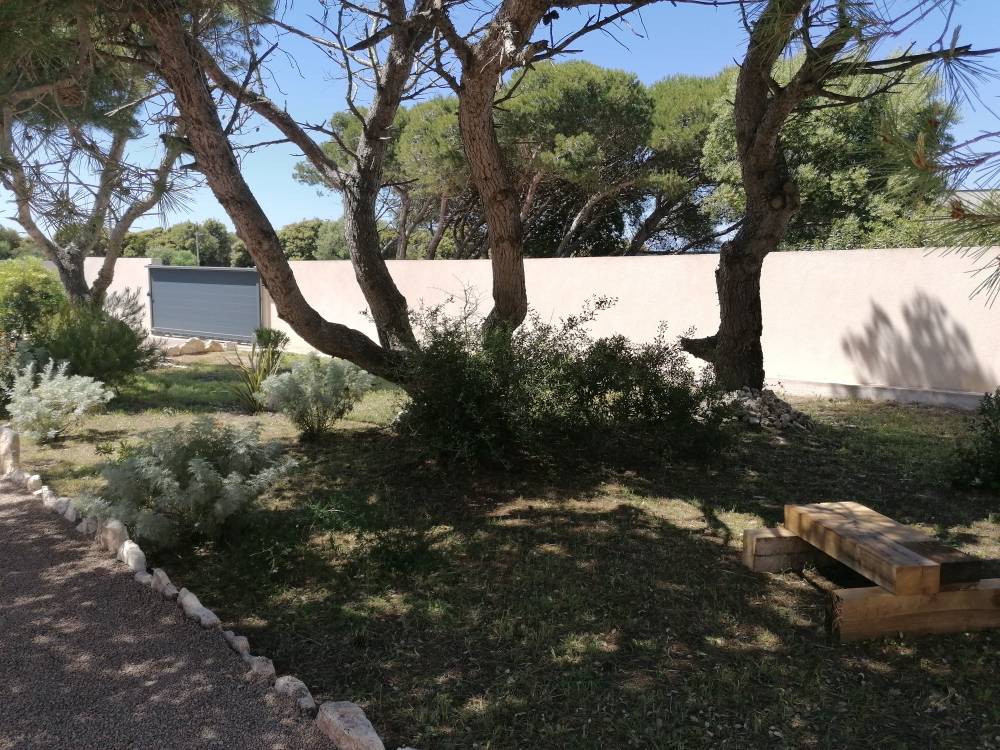 Terrain arboré