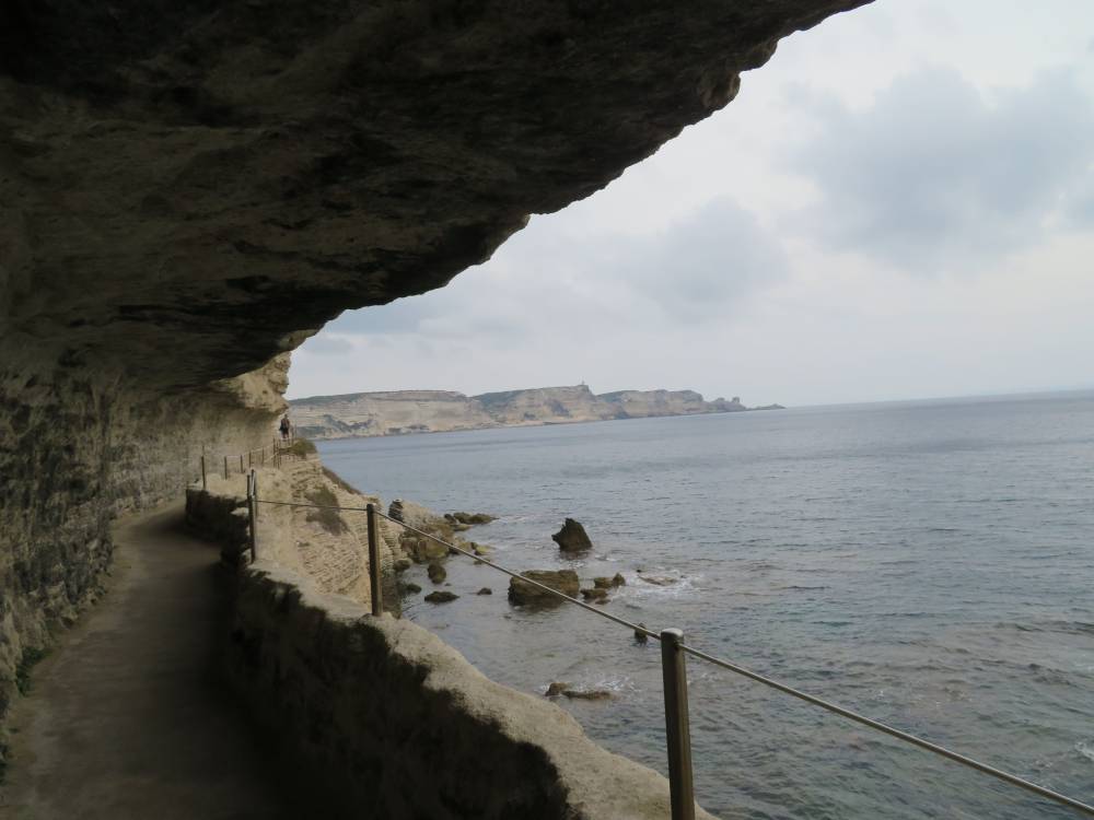 Bonifacio