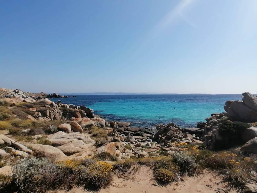 Bonifacio