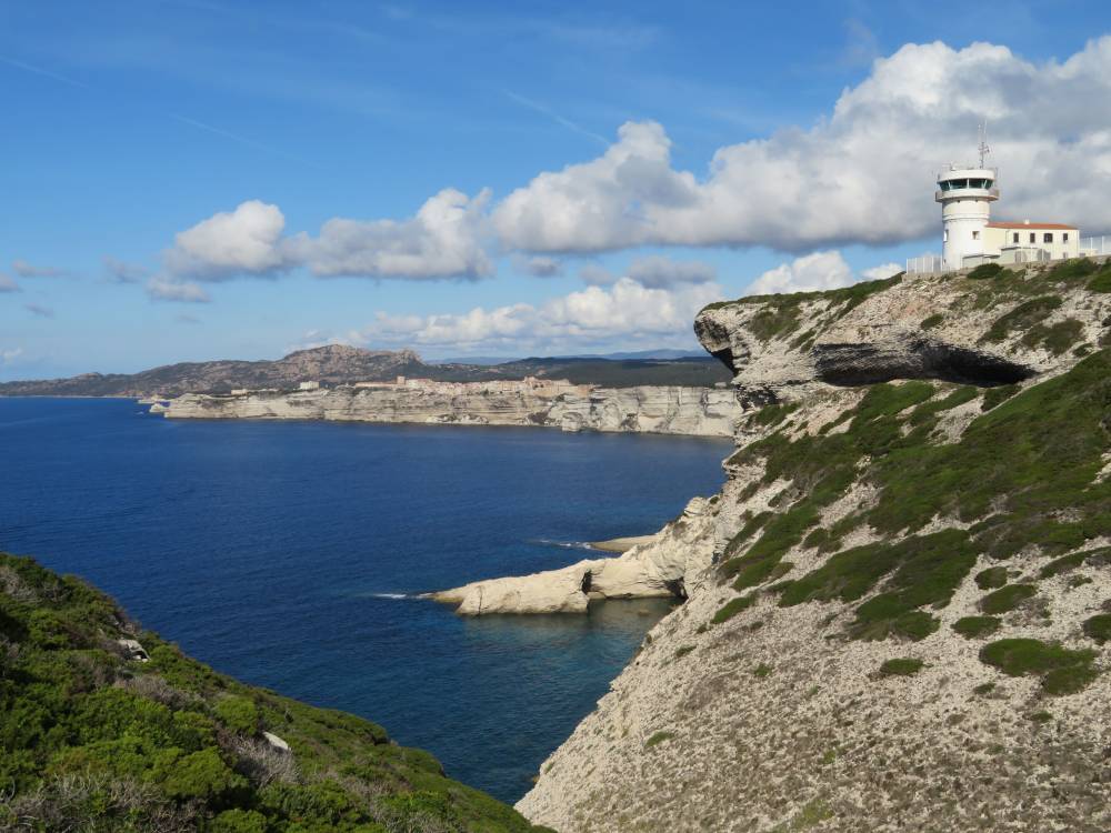 Bonifacio