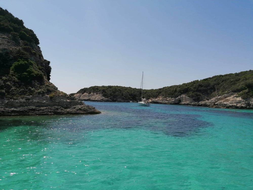 Bonifacio