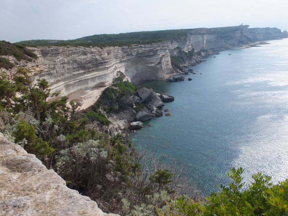 Bonifacio