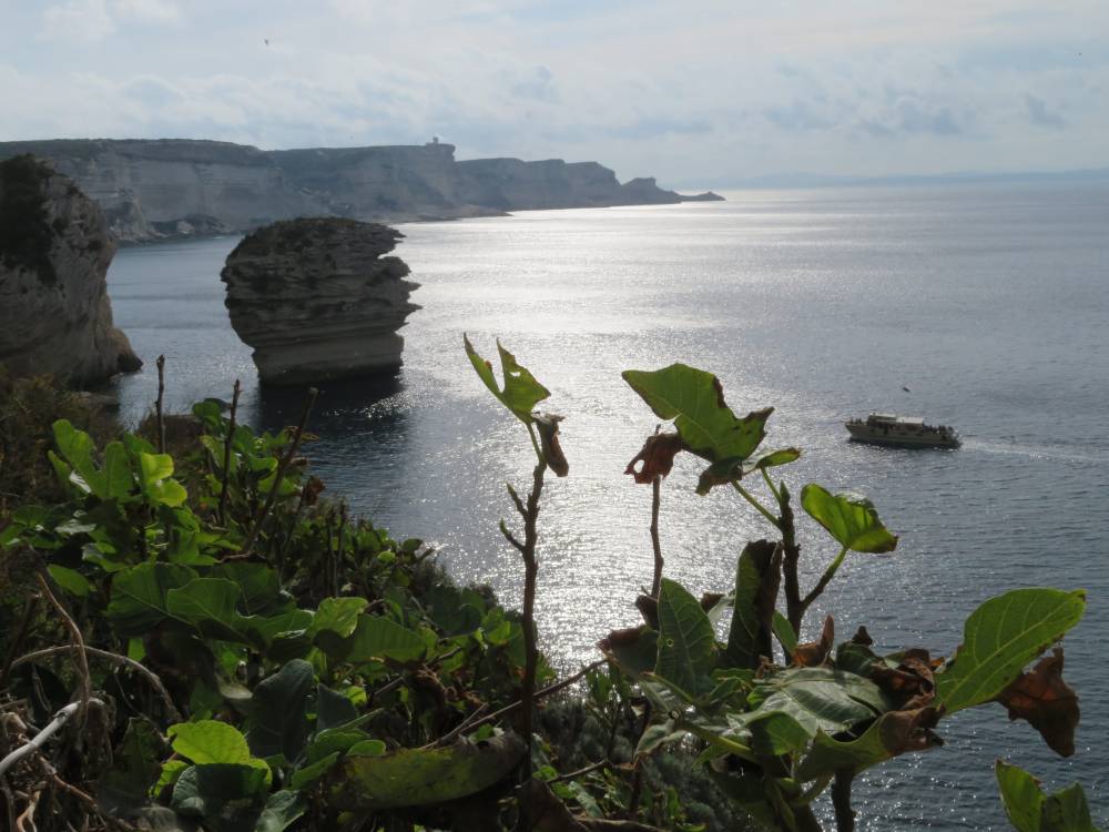 Bonifacio