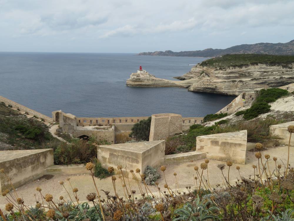 Bonifacio